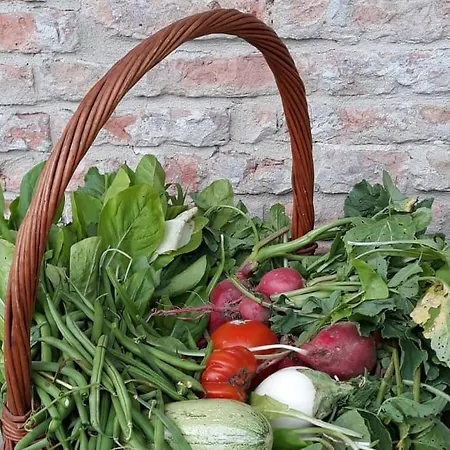 Bauernhof Cascina Angelina *